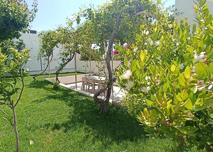 Apartamento Dimitra - Surf Kattavía